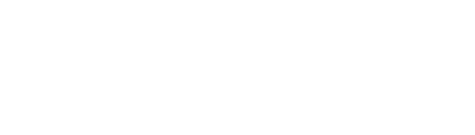 Neuwork